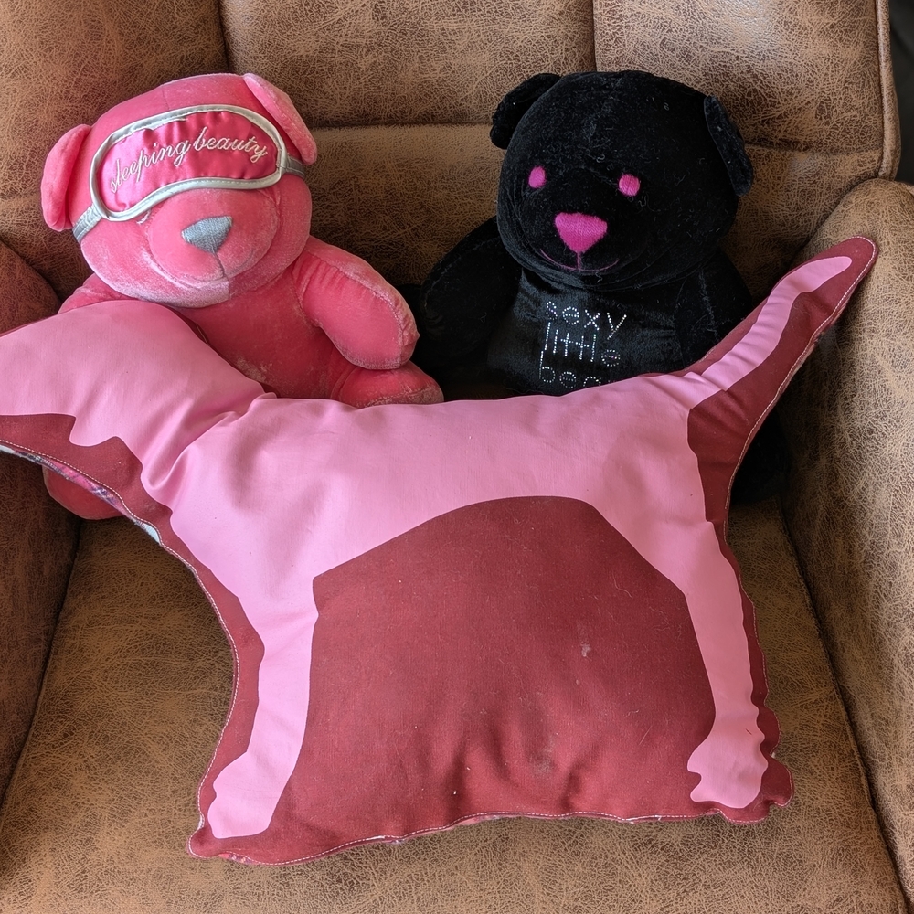 PINK Victoria's Secret Dog Pillow BEARS NOT INCLUDED $200